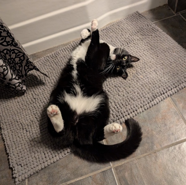 Ollie